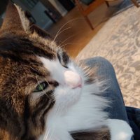 al (@al6357049399481) 's Twitter Profile Photo al (@al6357049399481) 's Twitter Profile Photo