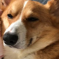 おじ (@5wubv2h4kr80249) Twitter profile photo