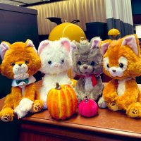 尋*固定twpf必読 (@jing_mzk) 's Twitter Profile