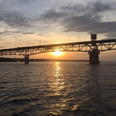 _American_Mom's profile picture. Dog mom 🐾 | 1A/2A | Telecom Engineer & Project Manager | Former NAVSEA Marine Pipefitter | Married.