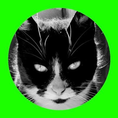 toondariusz's profile picture. New Generation #BuildOnTitanX #DragonX