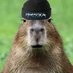 Nicove (@nerlzv) Twitter profile photo Nicove (@nerlzv) Twitter profile photo