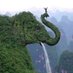 Animal Hub (@animal_hub_) Twitter profile photo Animal Hub (@animal_hub_) Twitter profile photo