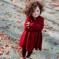 مركز خدمات البحث العلمي والنشر (@dralyaa1236250) 's Twitter Profile