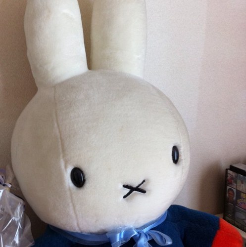 mimiorecord's profile picture. 教育と文筆。DJ、ボーカル、詩、古典、音楽、プロレス、麻雀、Ｍリーグ、アイドル、コンカフェなど。https://t.co/2lju5JRqw0「90分で読める！天職を見つける方法」発売中🐣 普通の人なら相互フォロー。いいねたくさんします😇 DMあまり見ません。