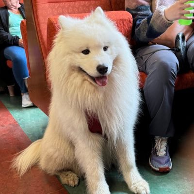 Talin7577's profile picture. Blink, Lillies, แม่(ปลอม)พี่หลิง #หลิงออม