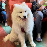 TK (@talin7577) 's Twitter Profile