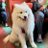 Talin7577's profile image