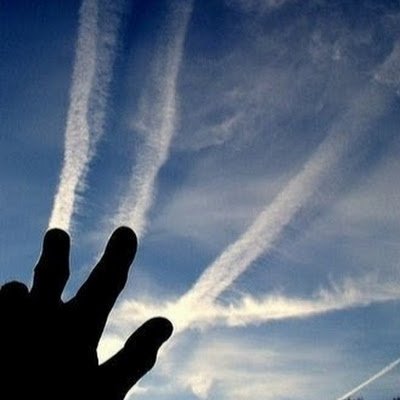 PattyAnder23389's profile picture. 