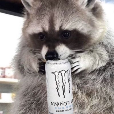 i got demoted to bodyguard cause i knew nothing about the law