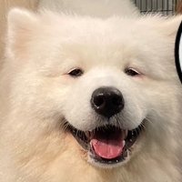 アラサー愛を知る日記 (@yd12_t) 's Twitter Profile Photo アラサー愛を知る日記 (@yd12_t) 's Twitter Profile Photo