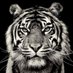 Sergio Mediavilla (@sergiomedi58330) Twitter profile photo Sergio Mediavilla (@sergiomedi58330) Twitter profile photo