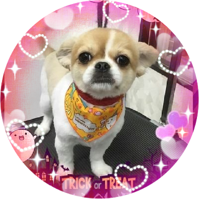 etsuko0119wagyu's profile picture. 田中圭！和牛！

お笑い大好き　ラジオも好き
仔牛であり虫ケラ
爆笑問題、さまぁ～ずはずっと好き！

高3中1の母