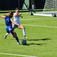 Poppie Brown (@poppiebrown13) 's Twitter Profile
