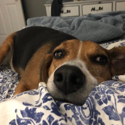 jesshubb's profile picture. 