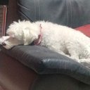 Paco Carrillo - @Aiam_FranJa - Twitter