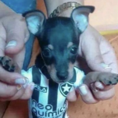 kmnyreiss's profile picture. 