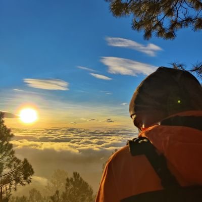 GuifarroCruz's profile picture. 