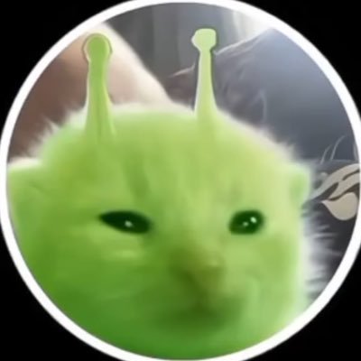 _oleleolala's profile picture. jogo Monster hunter e outras porcarias