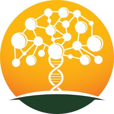 Worldwide #FamilyTree 100% free for everyone #DNA features Privacy Controls #WikiTree #Genealogy #CollaborativeGenealogy #WikiTreeDay https://t.co/93CUE9ougY