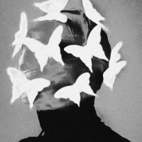 Zero1 (@cj_zero69) 's Twitter Profile Photo Zero1 (@cj_zero69) 's Twitter Profile Photo