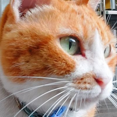 laiyiti's profile picture. 🇹🇼
看什麼就畫什麼
livly ID：374kibhb