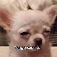 loquela22's profile picture. aguante la pasti