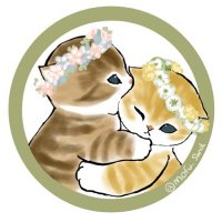 茉莉花 (@mfmf_lazy) 's Twitter Profile