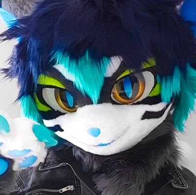 Kielさんのプロフィール画像