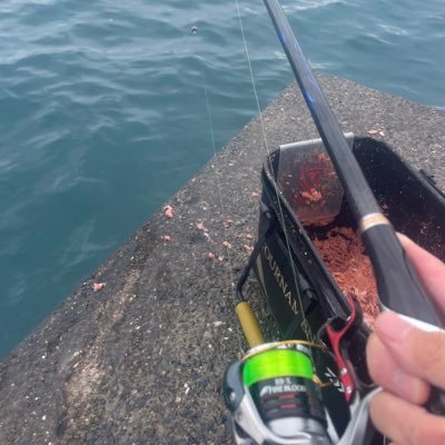 hira_101706's profile picture. 房総、三浦半島で釣りやってます。フカセメインに、アジング、エギング、サーフなどやってます。 4月から神奈川！