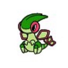 flygonさんのプロフィール画像
