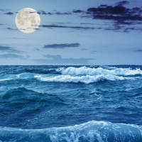 Matt (@matthewl853646) 's Twitter Profile Photo