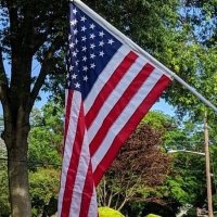 Dorothy (@dp135) 's Twitter Profile
