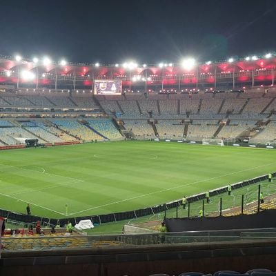 daniellera48637's profile picture. 