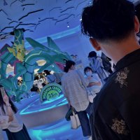 ブロッコリー🥦 (@g776661) 's Twitter Profile
