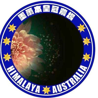 BaiXiao77777's profile picture. 老号全阵亡，新号请关注🙏🙏🙏🙏(互关必回)