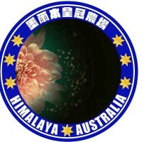 Bai Xiao《皇冠骑士团》 (@baixiao77777) 's Twitter Profile Photo