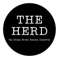 THE HERD HOUSE (@theherdhouse) 's Twitter Profile Photo THE HERD HOUSE (@theherdhouse) 's Twitter Profile Photo