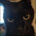 Carlos (@carlos5162761) Twitter profile photo Carlos (@carlos5162761) Twitter profile photo