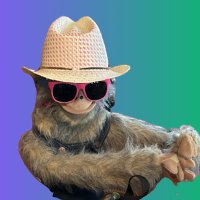 AnnD (@coachandid) 's Twitter Profile