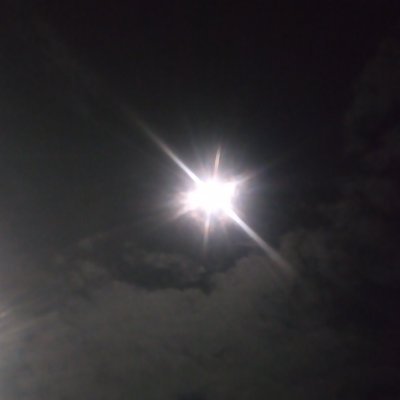 LeticiaSarmando's profile picture. 
