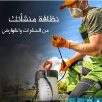 شركة مكافحة الحشرات بالرياض.🇸🇦 (@tanzef_knb) 's Twitter Profile
