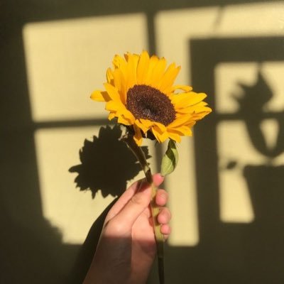 nurunnisaaf's profile picture. unpredictable.