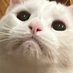 Callan (@calistan_) Twitter profile photo Callan (@calistan_) Twitter profile photo