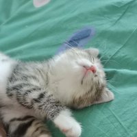 Hazel (@jiangsz_) 's Twitter Profile