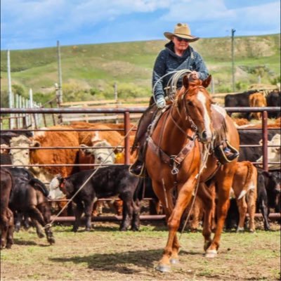 LindaPiers2646's profile picture. 