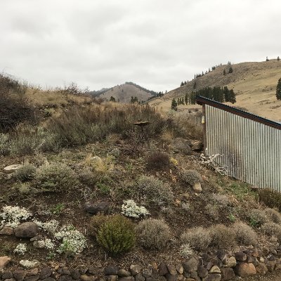 ann2024_ann's profile picture. Retired.