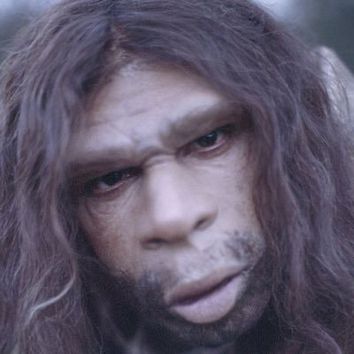 solo_sonata's profile picture. Feelance violinist, teacher, patented inventor. Student of Maestro Aaron Rosand. I am The Official Violinist of The Digital Asset Investor Channel.