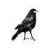 @hellojere (@hellojere) Twitter profile photo @hellojere (@hellojere) Twitter profile photo
