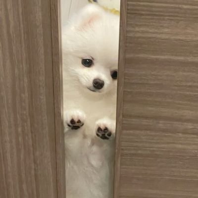 duraaaaaall's profile picture. 黑丝控/长靴控/臀控
分享自己喜欢的黑丝作品